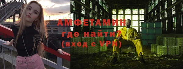 меф Дмитриев